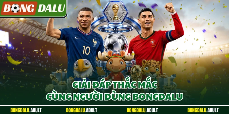 Giải đáp thắc mắc cùng người dùng Bongdalu